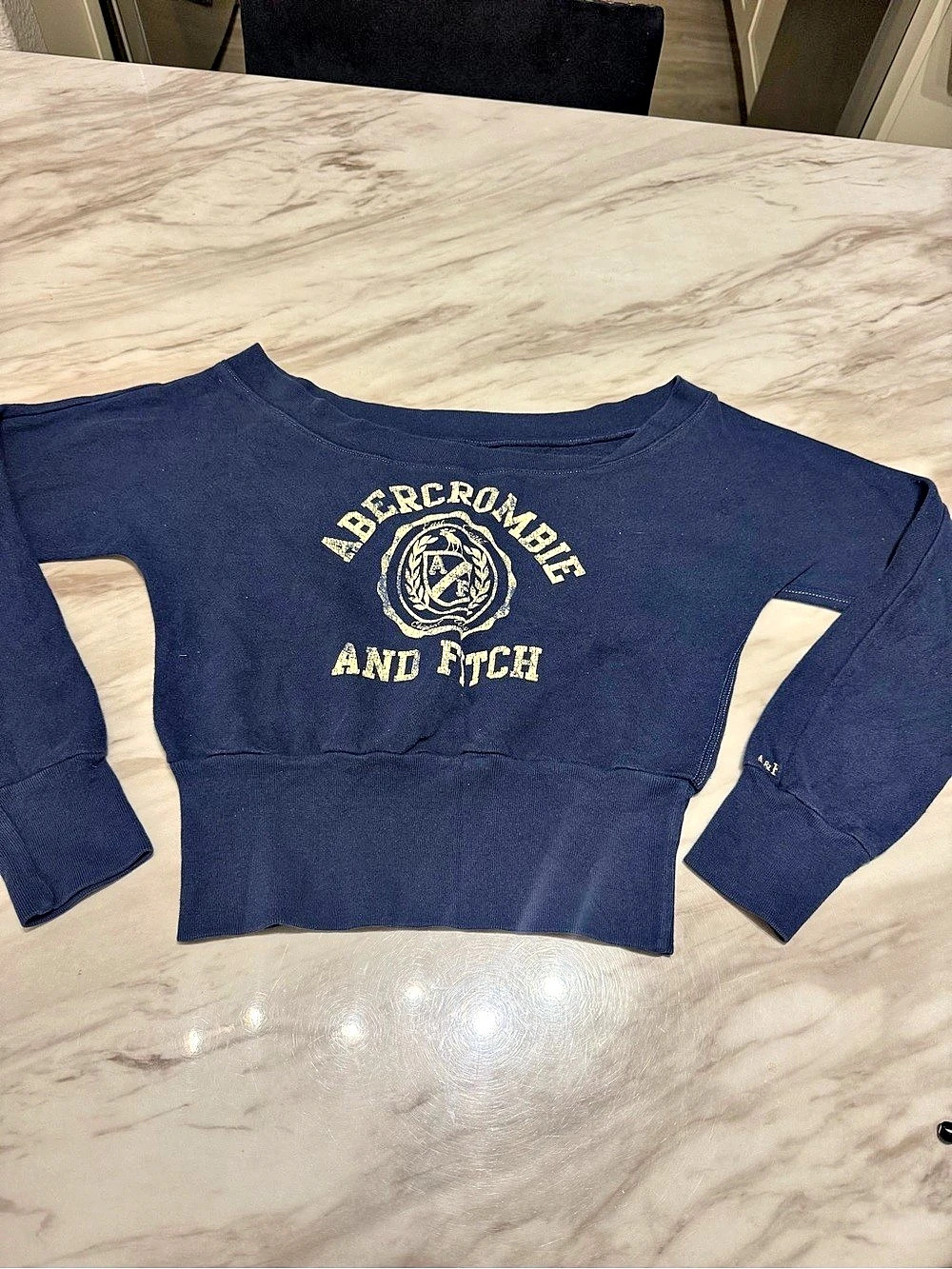 Abercrombie & Fitch Cropped Logo Sweatshirt in Blue Size Small